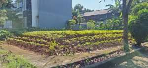 Jual Tanah di Cluster Bukit Cimanggu City Bogor lokasi di Bogor Kota, tersedia melalui melalui situs Olx