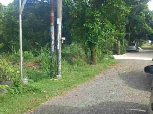 Jual tanah di gunung sindur lokasi di Tangerang Selatan Kota, tersedia melalui melalui situs Olx