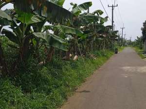 Jual Tanah di Jalan Ciherang Pondok Caringin 2640 meter SHM cocok buat Cluster lokasi di Bogor Kota, tersedia melalui melalui situs Olx