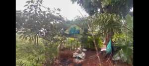 Jual Tanah di Jl AMD, Pondok Kacang barat - Kota Tangerang Selatan lokasi di Tangerang Selatan Kota, tersedia melalui melalui situs Olx