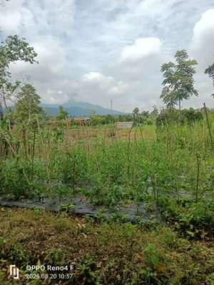 Jual tanah di kopeng area lokasi di Salatiga Kota, tersedia melalui melalui situs Olx