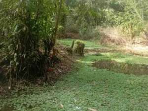 JUAL TANAH DI MAPANGET MANADO lokasi di Manado Kota, tersedia melalui melalui situs Olx