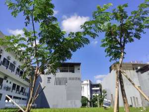 jual tanah di pantai indah kapuk 1 PIk lokasi di Jakarta Utara, tersedia melalui melalui situs Olx