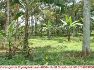 Jual Tanah di Parungkuda SukabumiAkses Tol Bocimi Kebun Duren Masuk Mobil lokasi di Sukabumi Kab., tersedia melalui melalui situs Olx