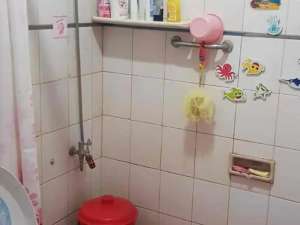 Jual Tanah di Petojo Selatan jalan biak Jual rumah petojo Jual Tanah sekitar ITC roxy mas Jakarta Pusat lokasi di Jakarta Barat, tersedia melalui melalui situs Olx