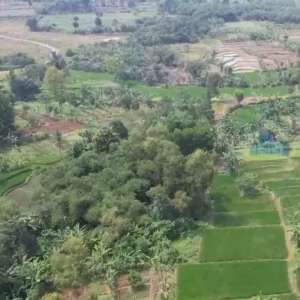 jual tanah di rangkas bitung, cemplang, serang, banten lokasi di Serang Kab., tersedia melalui melalui situs Olx