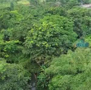 jual tanah di telesonik, jatake, tangerang, banten lokasi di Tangerang Kota, tersedia melalui melalui situs Olx