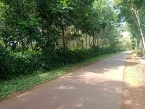 jual tanah dikalijati subang 1.6Ha dekat 15menit ke tol kalijati lokasi di Subang Kab., tersedia melalui melalui situs Olx