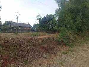 jual tanah harga murah lokasi di Bogor Kab., tersedia melalui melalui situs Olx