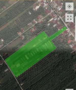 Jual Tanah Jl. T.Amir Hamzah,Langkat lewat kebun lada-T-0111 lokasi di Binjai Kota, tersedia melalui melalui situs Olx