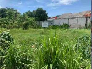 Jual Tanah Jl.raya Arco, Sawangan lokasi di Depok Kota, tersedia melalui melalui situs Olx