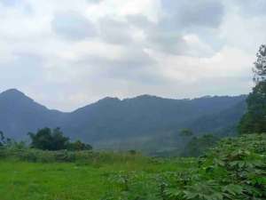 Jual Tanah Kavling 3000 meter, Bogor lokasi di Bogor Kab., tersedia melalui melalui situs Olx