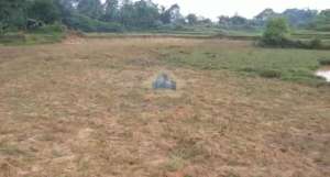 Jual Tanah kawasan Modern Cikande dekat Tol Cikande Serang Banten lokasi di Serang Kab., tersedia melalui melalui situs Olx