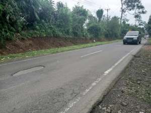 JUAL TANAH KEBUN CENGKEH DAN TEH DI JL. PROVINSI lokasi di Subang Kab., tersedia melalui melalui situs Olx