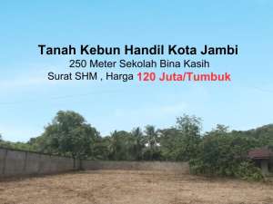 Jual Tanah Kebun Handil Kota Jambi lokasi di Jambi Kota, tersedia melalui melalui situs Olx