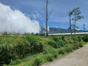 Jual Tanah kebun kopeng getasan lokasi di Salatiga Kota, tersedia melalui melalui situs Olx