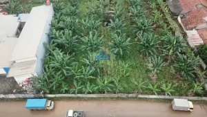 JUAL TANAH KOMERSIAL 3023M SHM DI CISAUK DEKAT BSD TANGERANG lokasi di Tangerang Kab., tersedia melalui melalui situs Olx