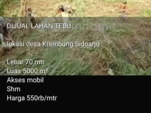 Jual Tanah krembung Sidoarjo lokasi di Sidoarjo  Kab., tersedia melalui melalui situs Olx