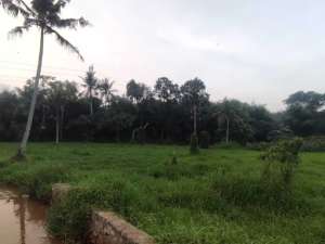 JUAL TANAH MURAH DALAM CLUSTER DI CINANGKA BOJONGSARI SAWANGAN lokasi di Depok Kota, tersedia melalui melalui situs Olx