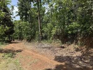 Jual Tanah Murah di Cisaga Ciamis, Harga 48000 permeter Nempel Jalan lokasi di Banjar Kota, tersedia melalui melalui situs Olx