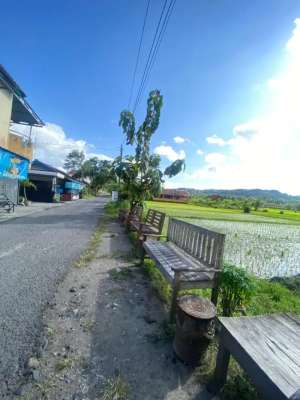 Jual Tanah Murah di Kasongan Bantul lokasi di Bantul Kab., tersedia melalui melalui situs Olx