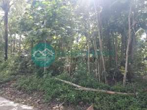 Jual Tanah Murah Di Pajangan Bantul Cocok Untuk HunianInvestasi, 400 Ribu Per Meter lokasi di Bantul Kab., tersedia melalui melalui situs Olx