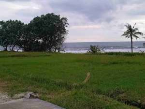 jual tanah murah los pantai vulume kecil..800 m2..8are harga 750 jt are 100m2 tabanan lokasi di Tabanan Kab., tersedia melalui melalui situs Olx