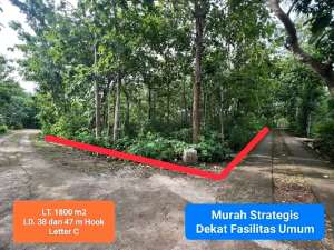 Jual Tanah murah strategis di Dekat Kota Wonosari Gunung Kidul lokasi di Gunung Kidul Kab., tersedia melalui melalui situs Olx