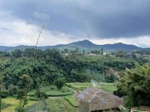 Jual Tanah Padat Cocok buat Villa View Bagus di Ciwidey lokasi di Bandung Kab., tersedia melalui melalui situs Olx