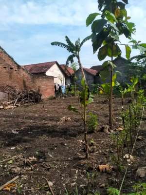 Jual tanah pekarangan lokasi di Kediri  Kab., tersedia melalui melalui situs Olx