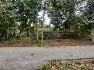 JUAL TANAH PEKARANGAN MURAH SELANGKAH KE PASAR CEBONGAN lokasi di Sleman Kab., tersedia melalui melalui situs Olx