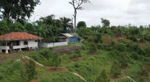 Jual Tanah Perkebunan di Jl Raya Jasinga Bogor Jawa barat lokasi di Bogor Kab., tersedia melalui melalui situs Olx