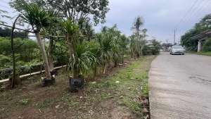 Jual Tanah Pinggir Jalan di Sawangan Arco lokasi di Depok Kota, tersedia melalui melalui situs Olx