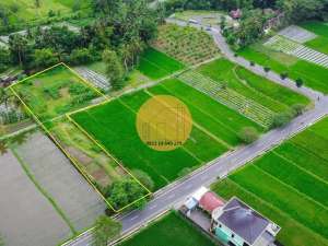 JUAL TANAH PINGGIR SUNGAI JAKAL KM 12,5 VIEW GUNUNG JALAN 2 MOBIL lokasi di Sleman Kab., tersedia melalui melalui situs Olx