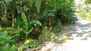 Jual tanah posisi datar di purwodadi pwr lokasi di Purworejo Kab., tersedia melalui melalui situs Olx