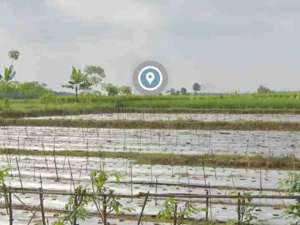 Jual Tanah Purwakarta lokasi di Purwakarta Kab., tersedia melalui melalui situs Olx