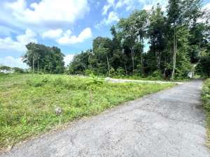 Jual Tanah Ring 1 Kampus, SHM P Siap Bangun lokasi di Yogyakarta Kota, tersedia melalui melalui situs Olx