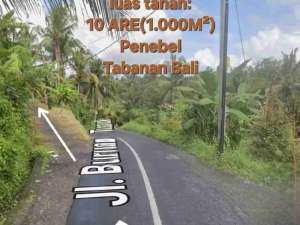 jual tanah sawah 10 are penebel tabanan lokasi di Marga, tersedia melalui melalui situs Olx