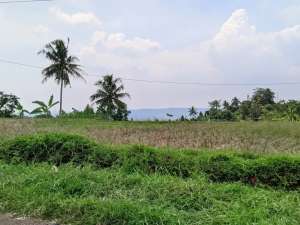 JUAL TANAH SAWAHDI KIARAPEDES WANAYASA PURWAKARTA lokasi di Purwakarta Kab., tersedia melalui melalui situs Olx