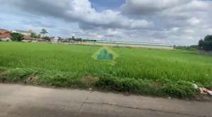Jual Tanah Sawah Di Jalan Kendal, Sindang Jaya, Pasar Kemis, Tangerang lokasi di Tangerang Kab., tersedia melalui melalui situs Olx