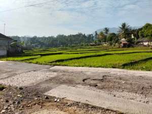 Jual tanah sawah murah LT 2,6ha, nempel jalan kabupaten lokasi di Bogor Kab., tersedia melalui melalui situs Olx