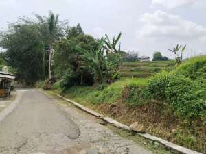 jual tanah sawah view bagus - di perkampungan kampung wisata lokasi di Purwakarta Kab., tersedia melalui melalui situs Olx