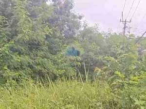 Jual tanah strategis di jl ry Jatake dekat Bsd City dan Tol Legok lokasi di Tangerang Kab., tersedia melalui melalui situs Olx