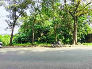 Jual tanah strategis Ngumban Surbakti dekat Setia Budi lokasi di Medan Kota, tersedia melalui melalui situs Olx