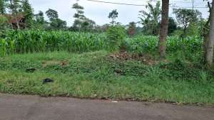 JUAL TANAH SUASANA ASRI HARGA TERJANGKAU BANJARAN BANDUNG SELATAN lokasi di Bandung Kab., tersedia melalui melalui situs Olx