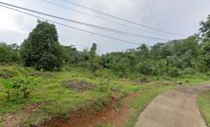 Jual Tanah Untuk Kandang Ayam di Cisaga Ciamis lokasi di Banjar Kota, tersedia melalui melalui situs Olx