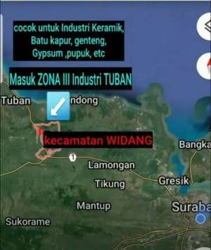 JUAL TANAH ZONA III INDUSTRI DI WIDANG TUBAN Tjin2Area lokasi di Lamongan  Kab., tersedia melalui melalui situs Olx