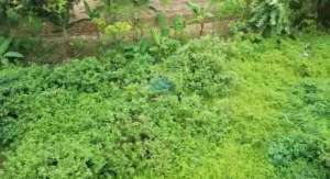 Jual Tanah Zona Industri dekat Jambe Tigaraksa Tangerang lokasi di Tangerang Kab., tersedia melalui melalui situs Olx