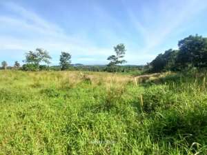 JUALSEWA Tanah Garapan 5 Hektar Sukamakmur Bogor Timur lokasi di Bogor Kab., tersedia melalui melalui situs Olx