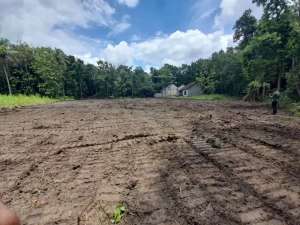 Kasihan Tanah Murah Jogja Siap Bangun SHM lokasi di Bantul Kab., tersedia melalui melalui situs Olx